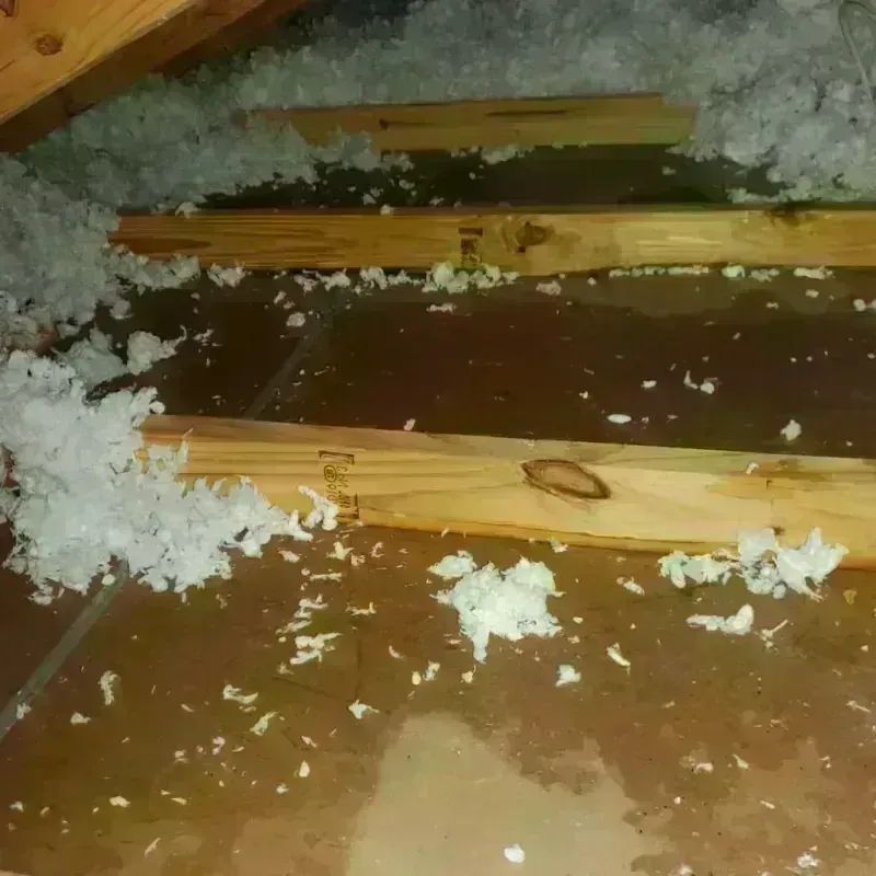 Attic Water Damage in Maricao, PR